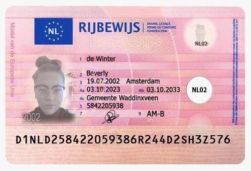 legaal rijbewijs kopen 2026